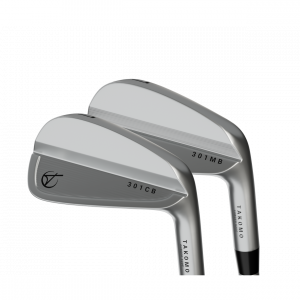 Iron 301 Club Heads only